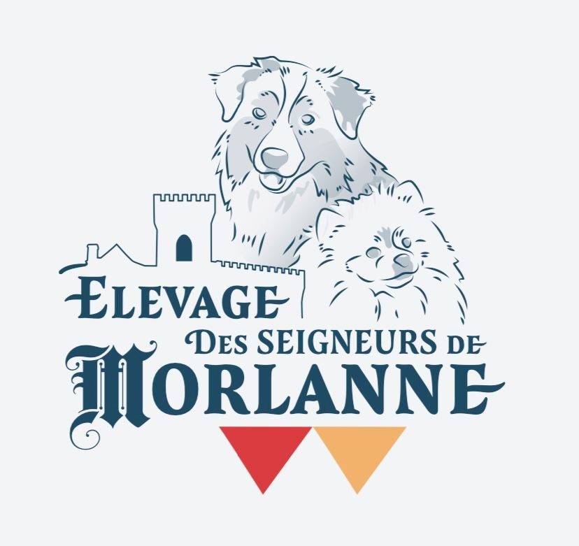 Des Seigneurs De Morlanne - Site WEB